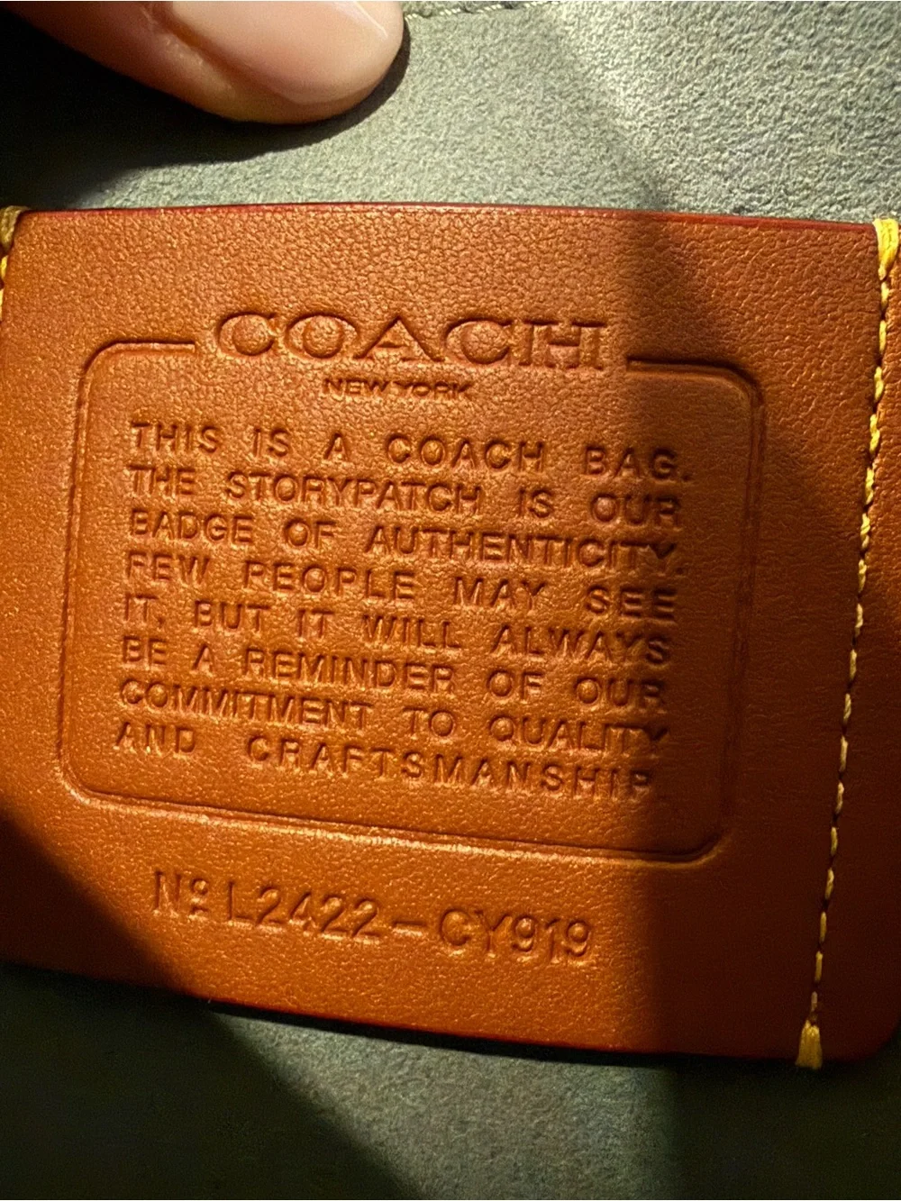EUC Coach Sage Chain Tabby
